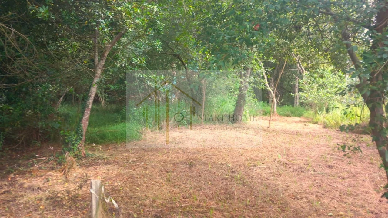 Terreno para Venda em Murtosa Foto 4