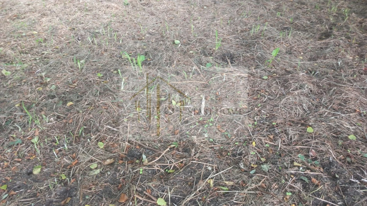 Terreno para Venda em Murtosa Foto 31