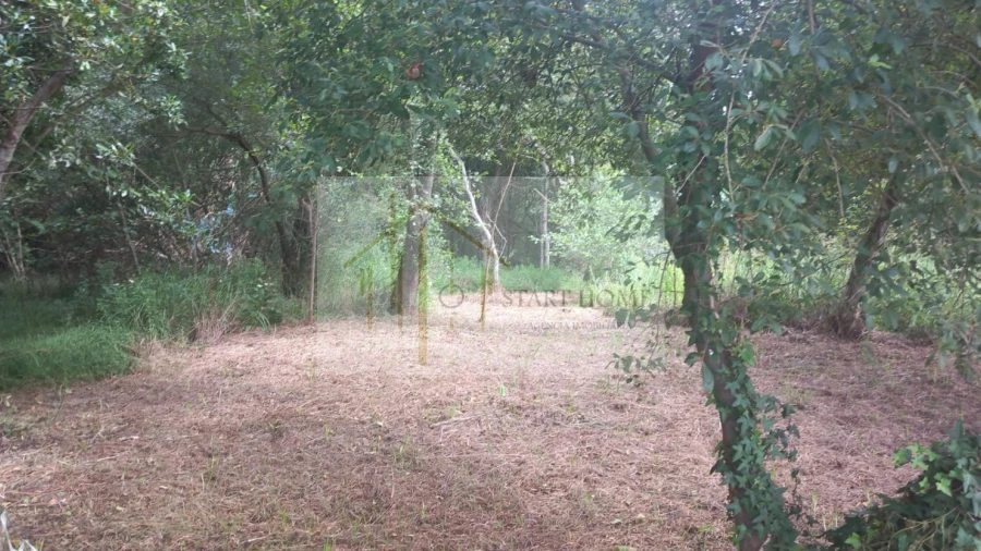 Terreno para Venda em Murtosa