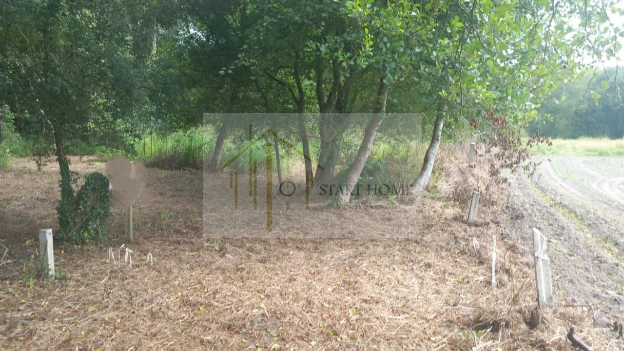 Terreno para Venda em Murtosa Foto 2