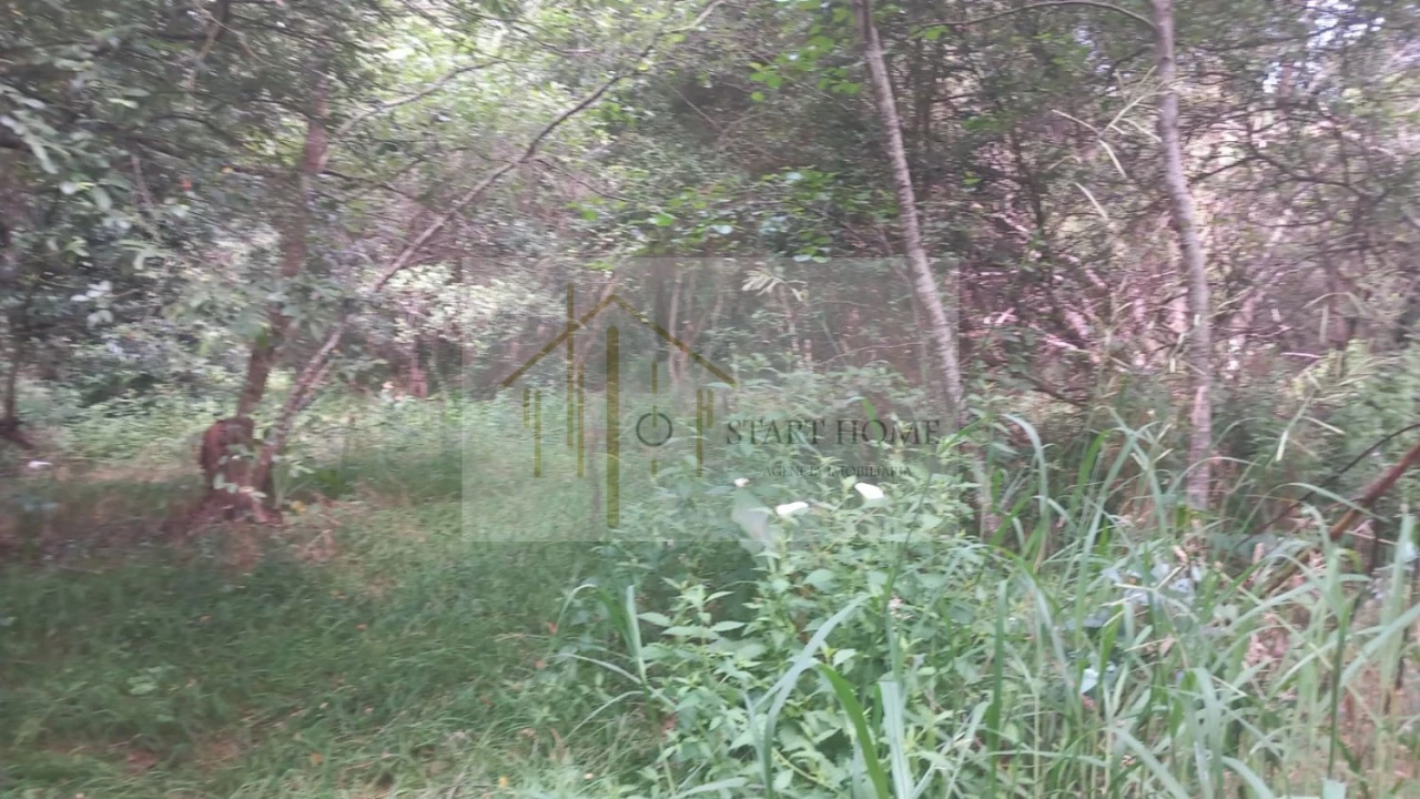 Terreno para Venda em Murtosa Foto 33