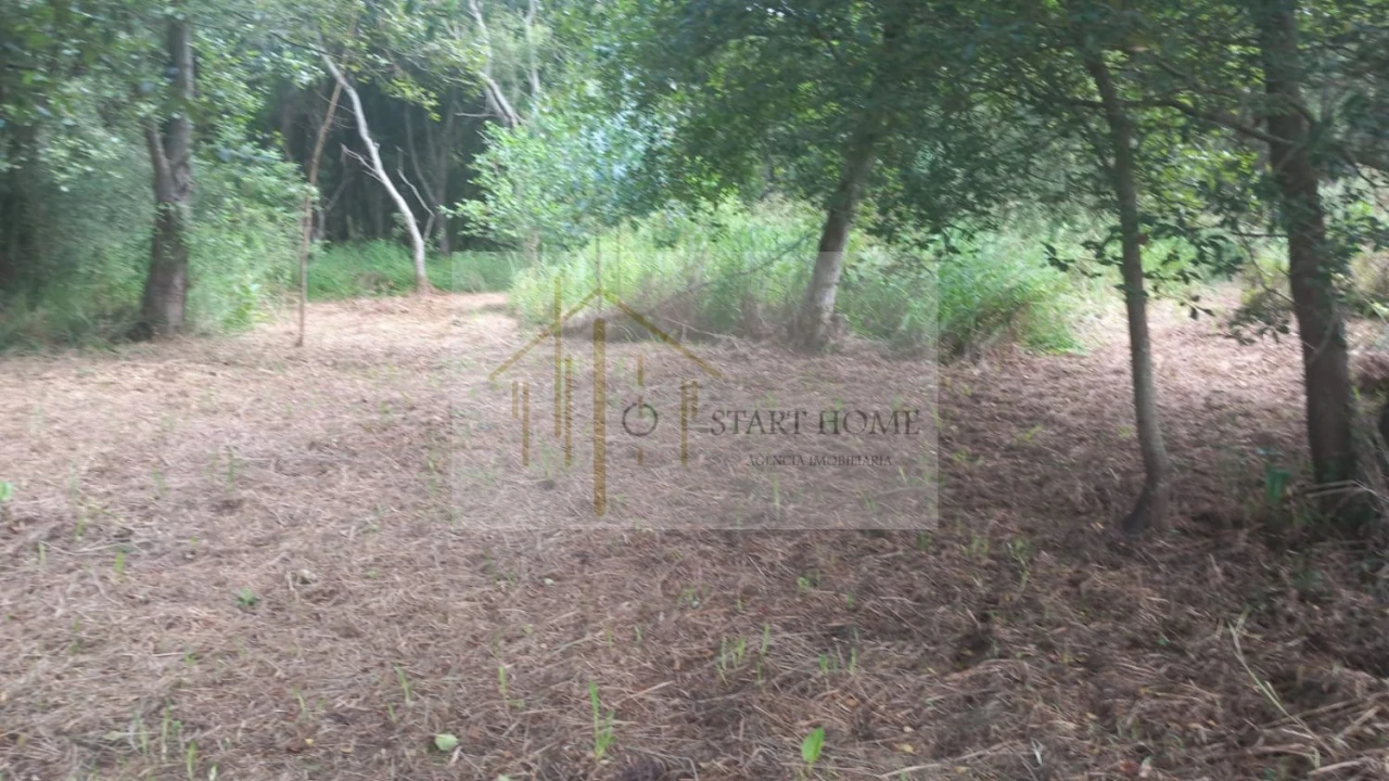 Terreno para Venda em Murtosa Foto 24