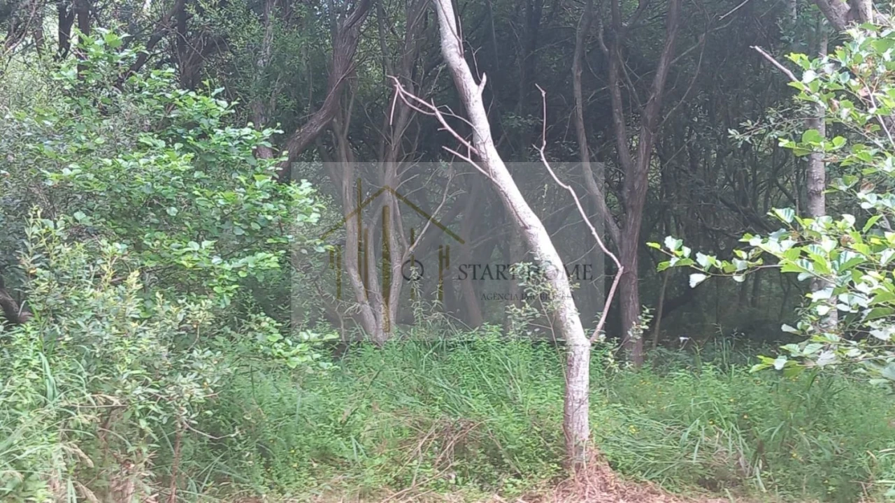 Terreno para Venda em Murtosa Foto 39