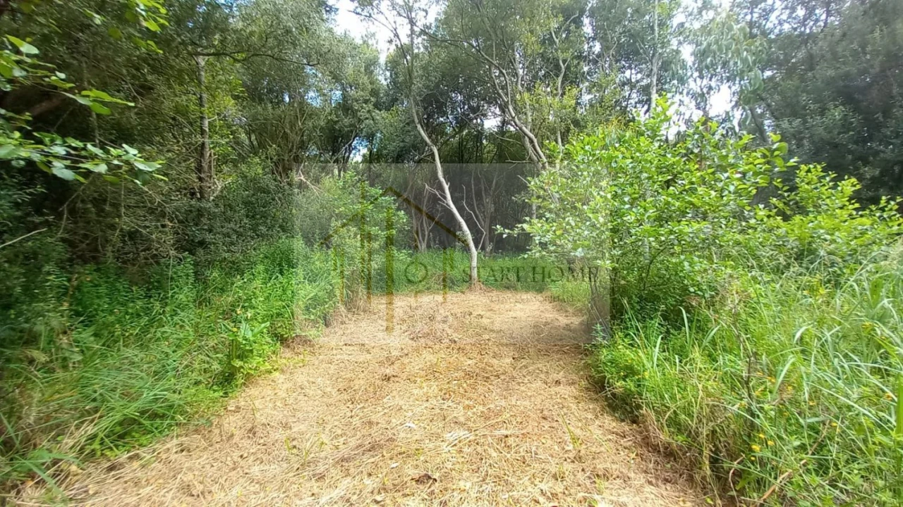 Terreno para Venda em Murtosa Foto 36