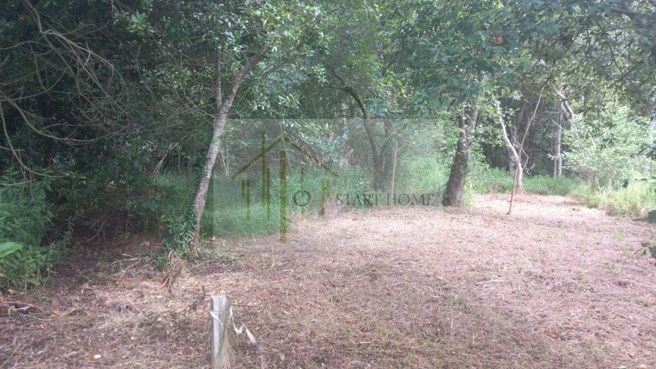 Terreno para Venda em Murtosa Foto 6