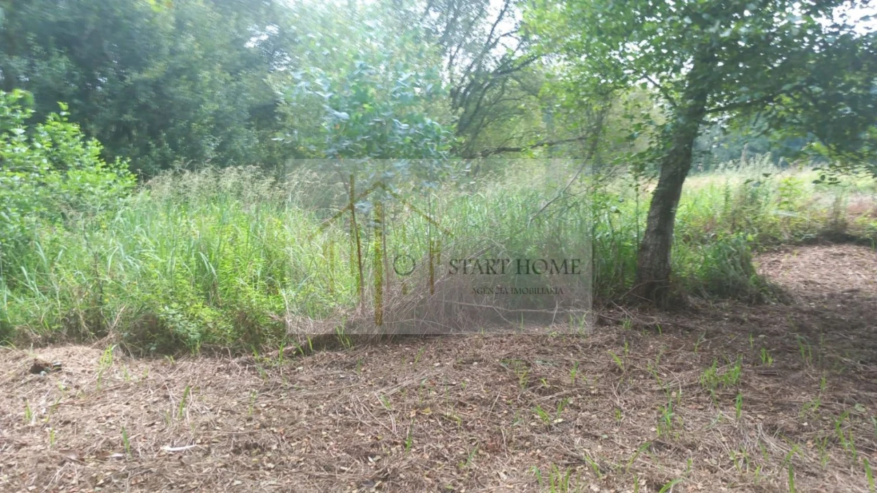 Terreno para Venda em Murtosa Foto 35