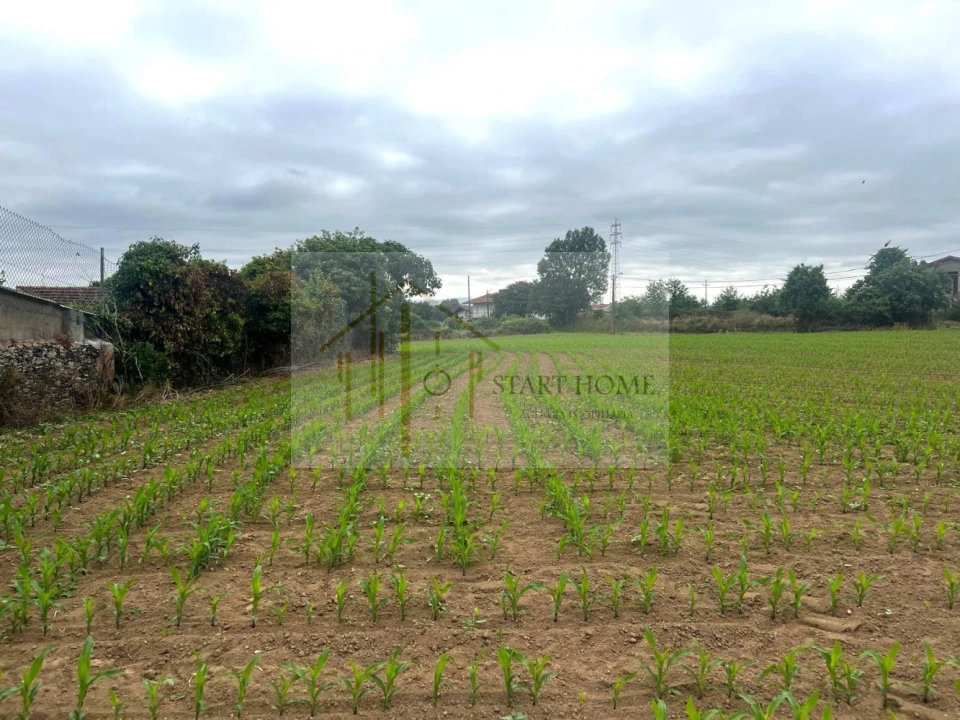 Terreno para Venda em Valega Foto 5