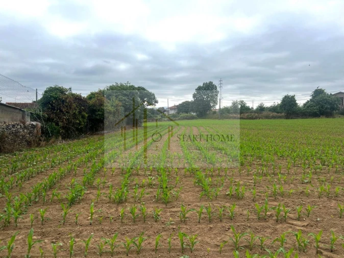 Terreno para Venda em Valega Foto 5