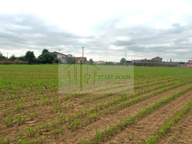 Terreno para Venda em Valega Foto 6