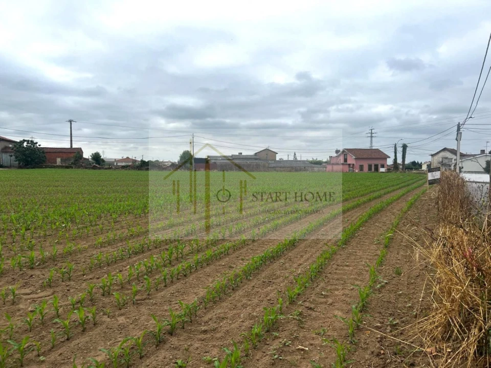 Terreno para Venda em Valega Foto 4
