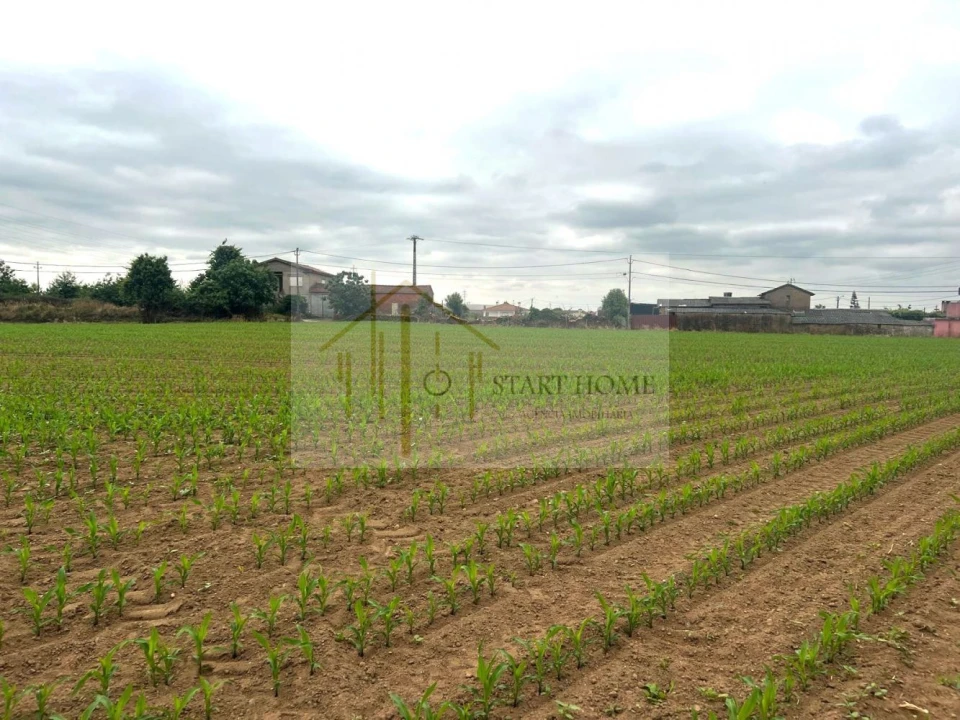 Terreno para Venda em Valega Foto 6