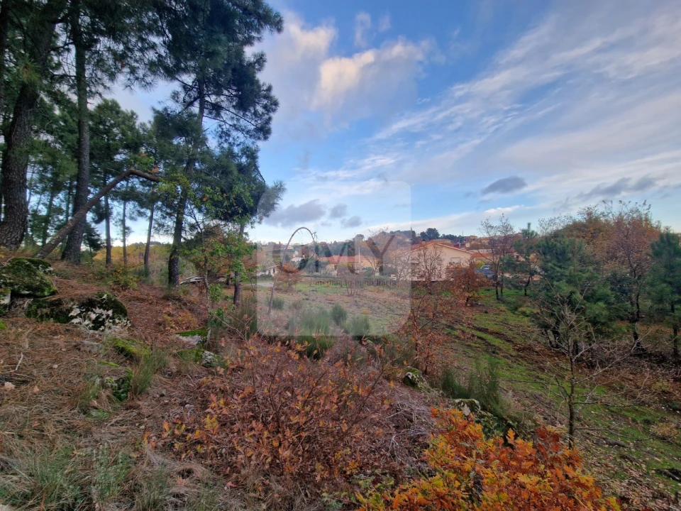 Terreno para Venda em Adoufe e Vilarinho de Samardã Foto 11