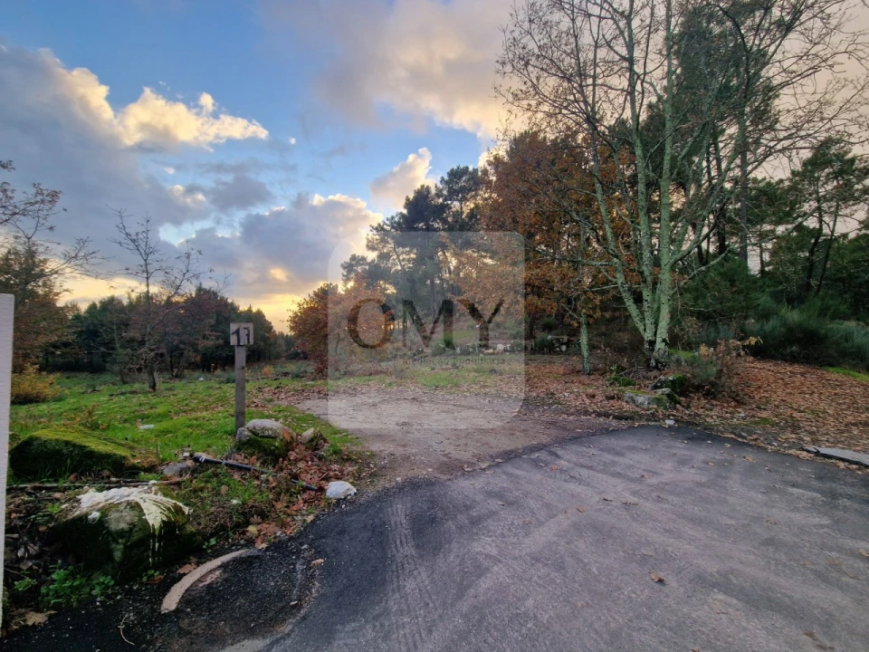 Terreno para Venda em Adoufe e Vilarinho de Samardã Foto 14