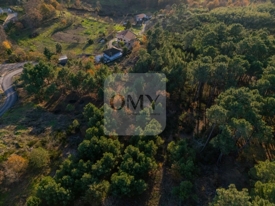 Terreno para Venda em Adoufe e Vilarinho de Samardã Foto 12