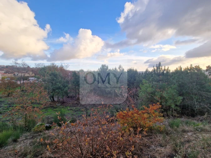 Terreno para Venda em Adoufe e Vilarinho de Samardã Foto 4