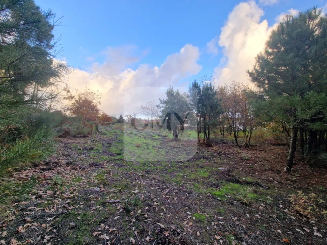 Terreno para Venda em Adoufe e Vilarinho de Samardã Foto 6