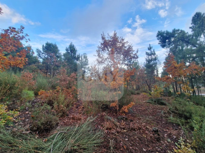 Terreno para Venda em Adoufe e Vilarinho de Samardã Foto 10