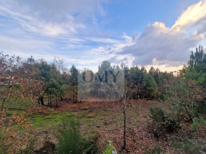 Terreno para Venda em Adoufe e Vilarinho de Samardã Foto 12