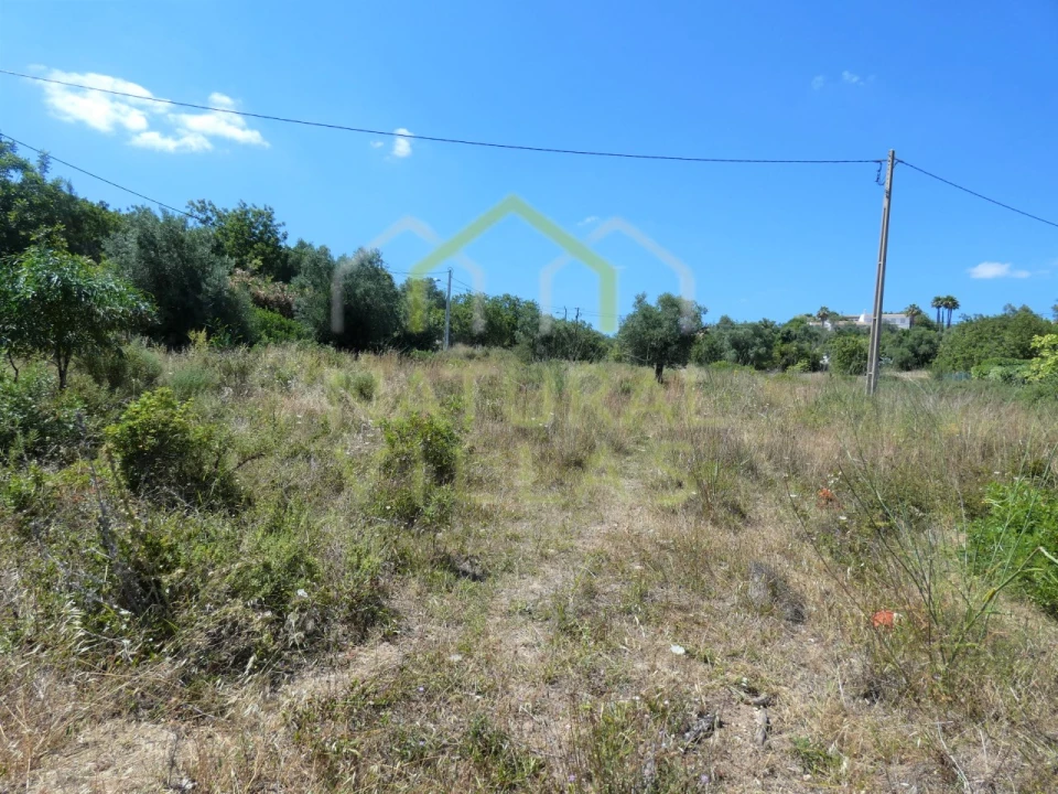 Terreno Agricola ou Rústico para Venda em Loule (São Sebastião) Foto 1