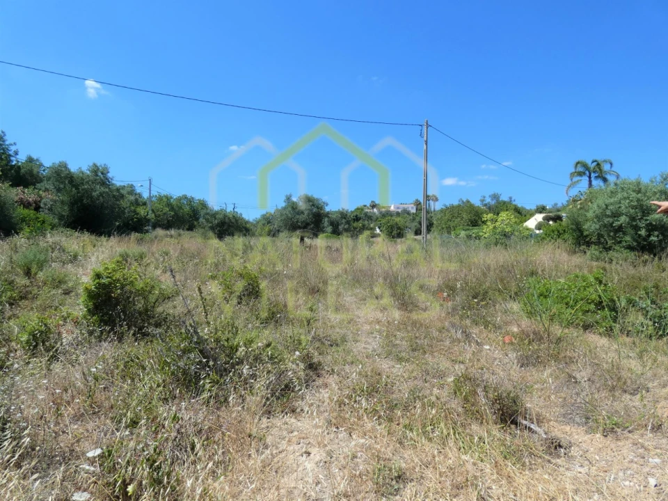 Terreno Agricola ou Rústico para Venda em Loule (São Sebastião) Foto 2