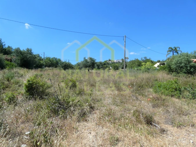 Terreno Agricola ou Rústico para Venda em Loule (São Sebastião) Foto 2
