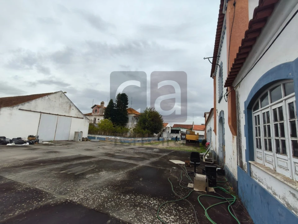 Moradia para Venda em Alpiarça Foto 37