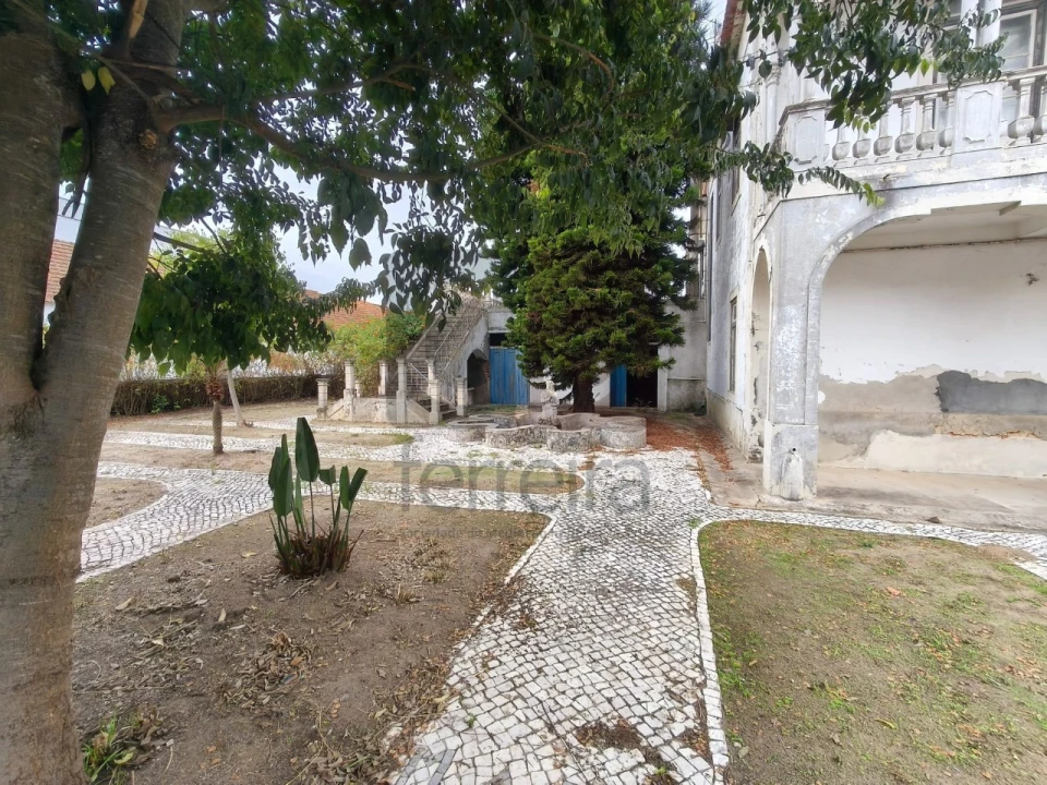 Moradia para Venda em Alpiarça Foto 42