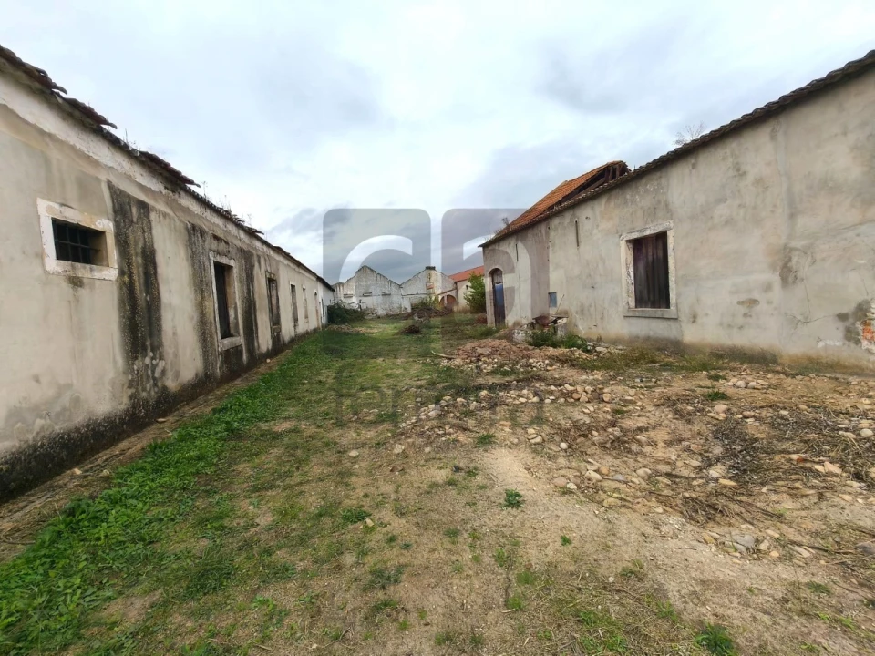 Moradia para Venda em Alpiarça Foto 48