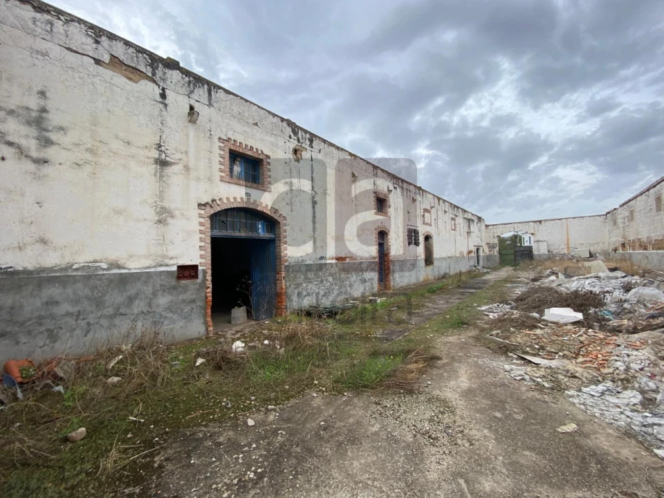 Moradia para Venda em Alpiarça Foto 53