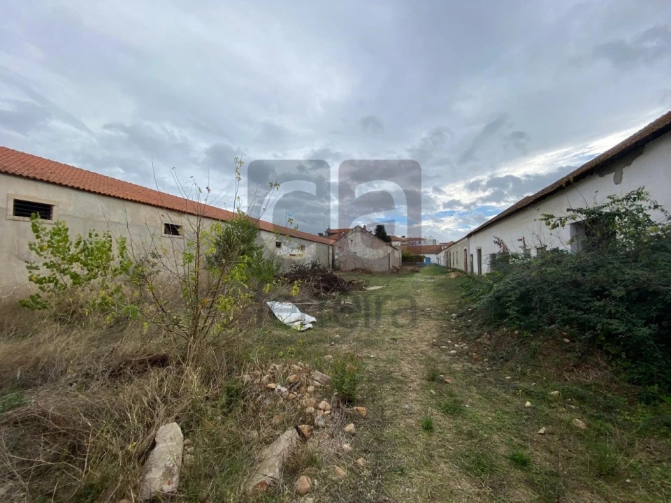 Moradia para Venda em Alpiarça Foto 54