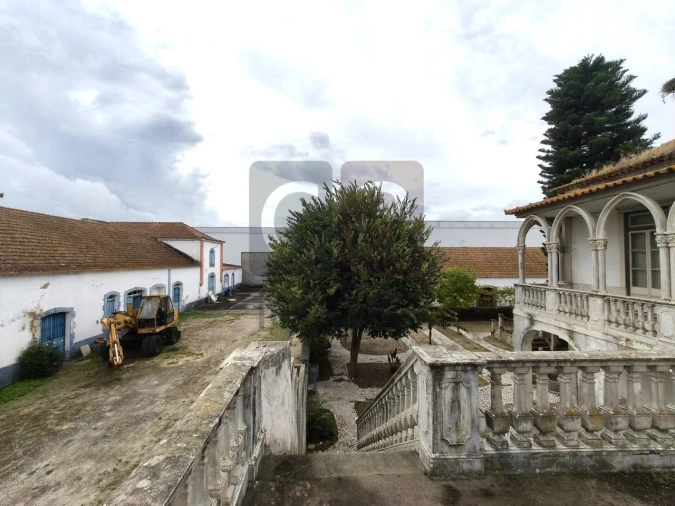 Moradia para Venda em Alpiarça Foto 30