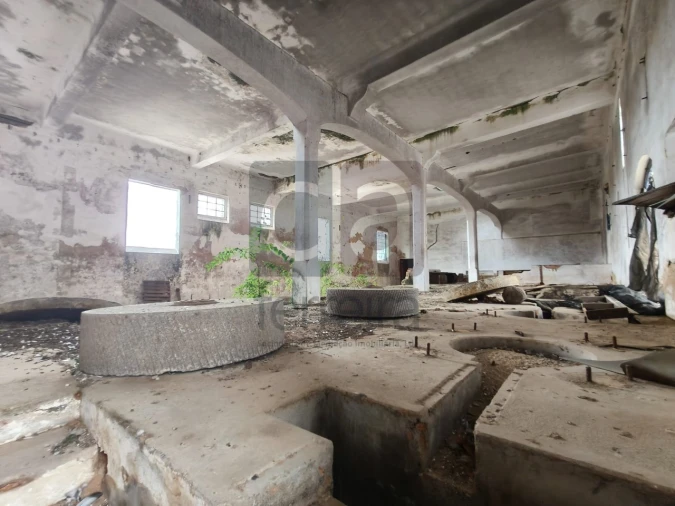 Moradia para Venda em Alpiarça Foto 34