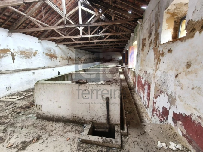 Moradia para Venda em Alpiarça Foto 49