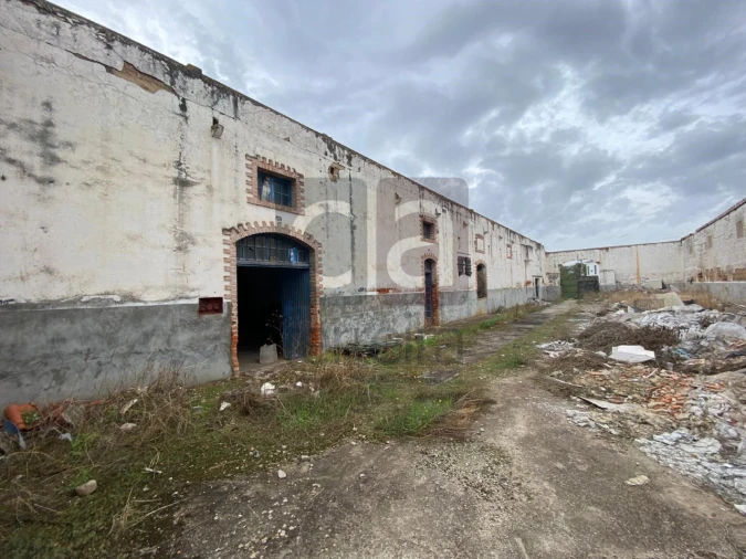 Moradia para Venda em Alpiarça Foto 53