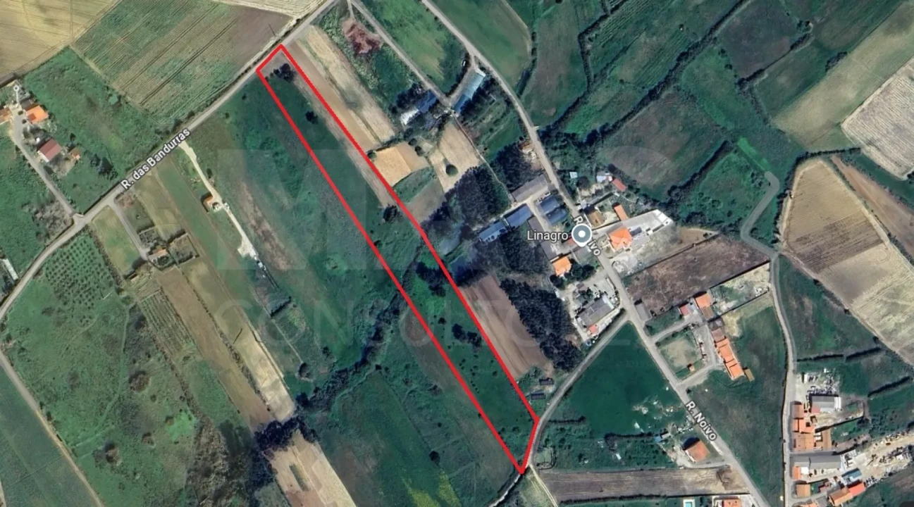 Terreno para Venda em Atouguia da Baleia Foto 7