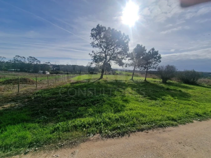 Terreno para Venda em Atouguia da Baleia Foto 1