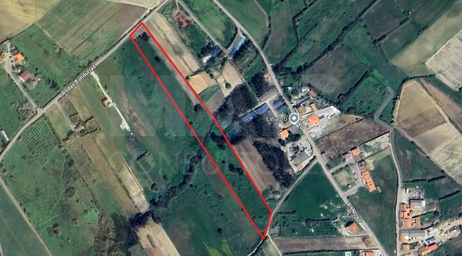 Terreno para Venda em Atouguia da Baleia Foto 10
