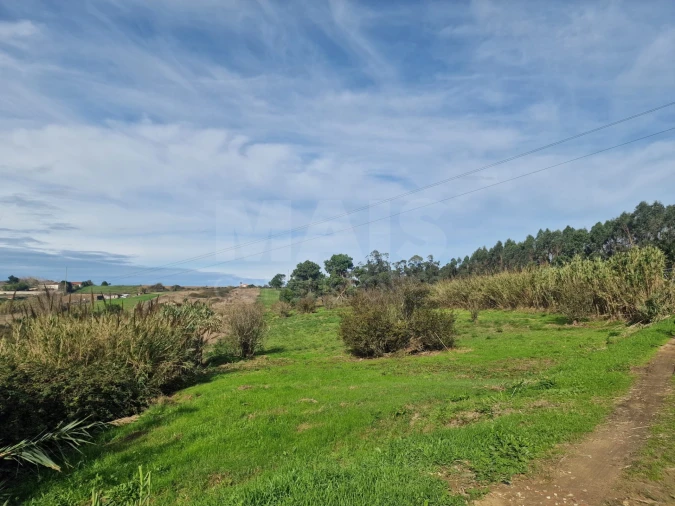 Terreno para Venda em Atouguia da Baleia Foto 3
