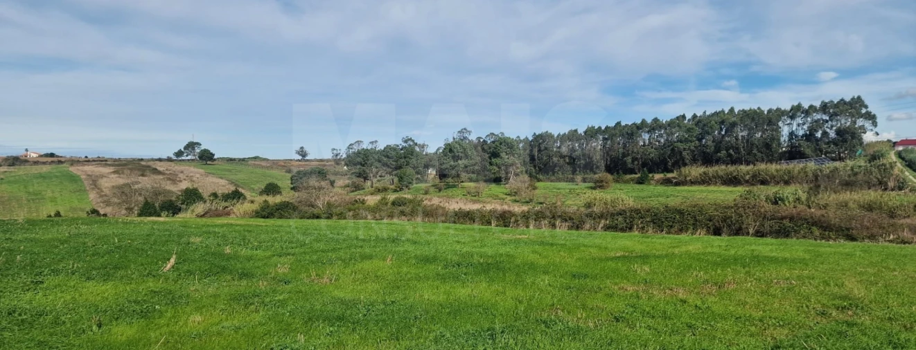 Terreno para Venda em Atouguia da Baleia Foto 4