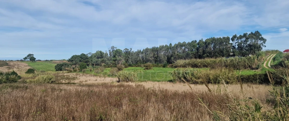 Terreno para Venda em Atouguia da Baleia Foto 6