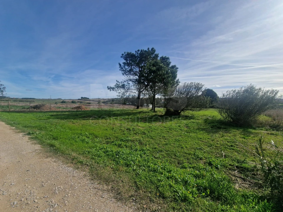 Terreno para Venda em Atouguia da Baleia Foto 2