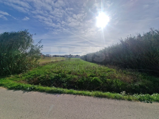 Terreno para Venda em Atouguia da Baleia Foto 2