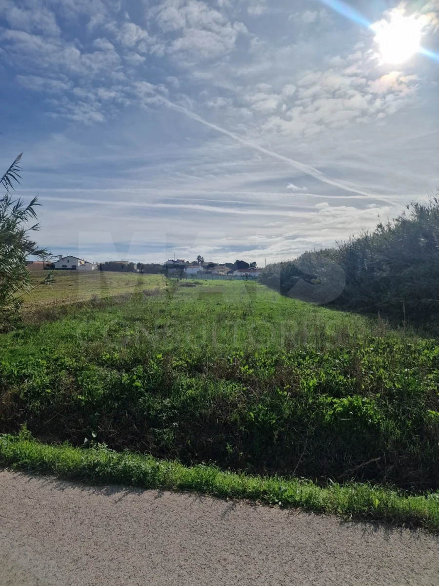 Terreno para Venda em Atouguia da Baleia Foto 4