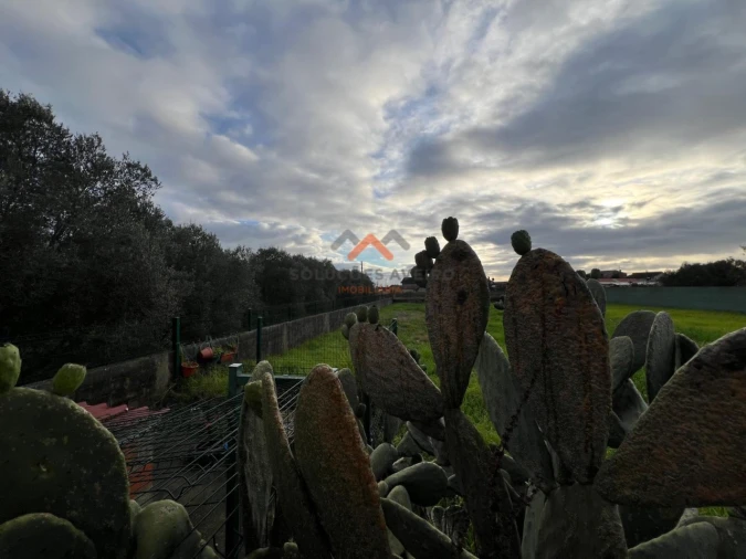 Moradia T4 para Venda em Ouca Foto 19