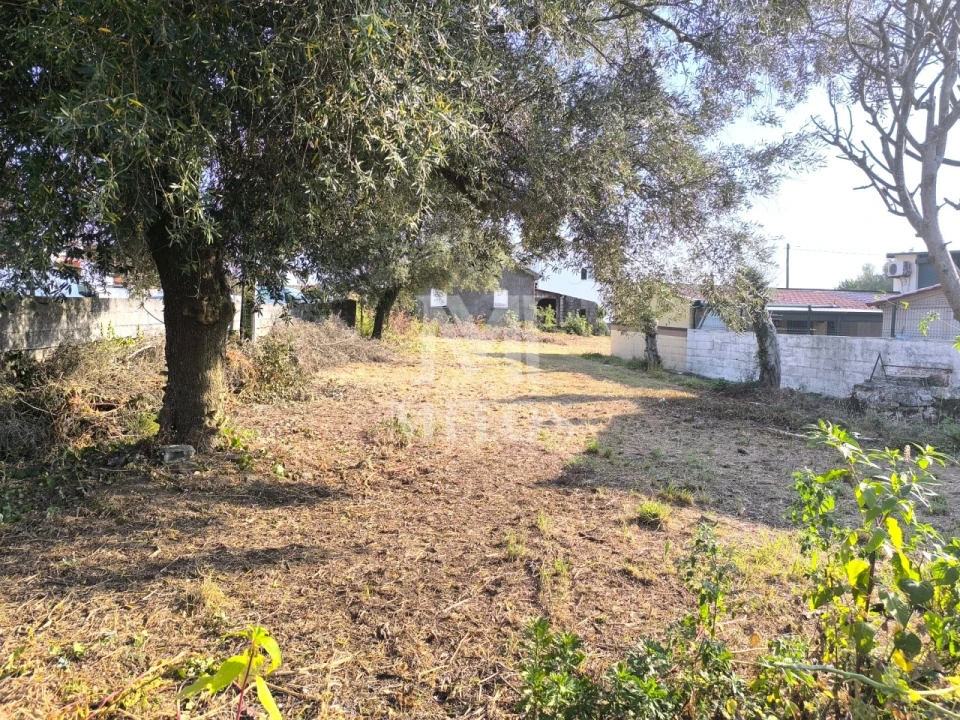 Terreno para Venda em Barroselas e Carvoeiro Foto 4