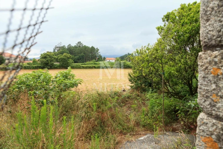 Quinta T4 para Venda em Cardielos e Serreleis Foto 8