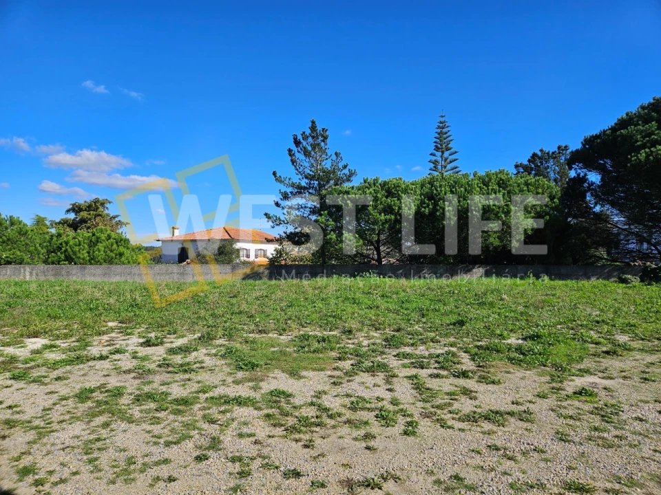 Terreno para Arrendamento em Mafra Foto 3