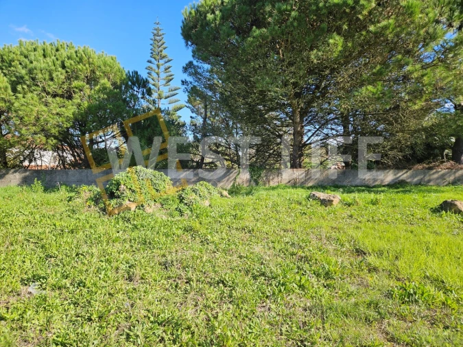 Terreno para Arrendamento em Mafra Foto 11