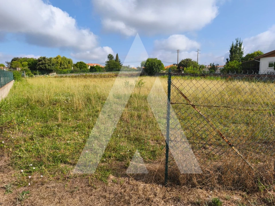 Terreno para Venda em Oiã Foto 3