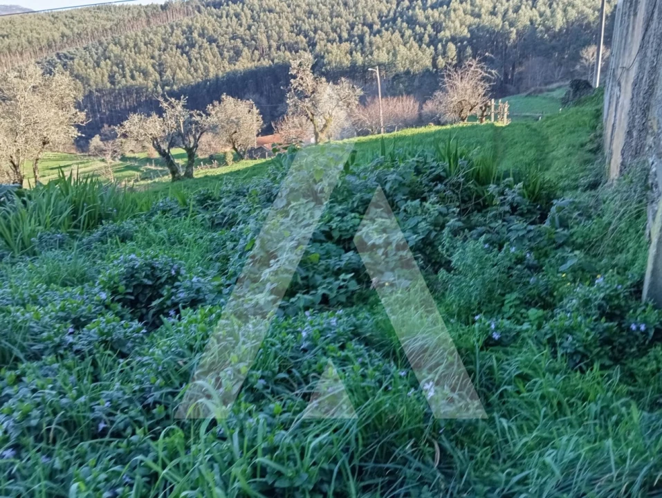 Moradia T3 para Arrendamento em São João do Monte e Mosteirinho Foto 26